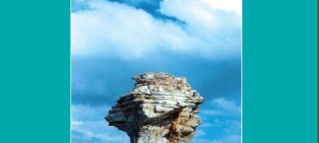 {{brizy_dc_image_alt entityId=