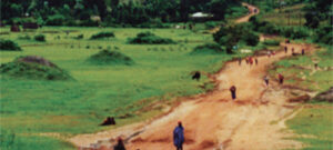 {{brizy_dc_image_alt entityId=