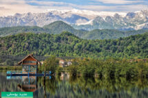 {{brizy_dc_image_alt imageSrc=